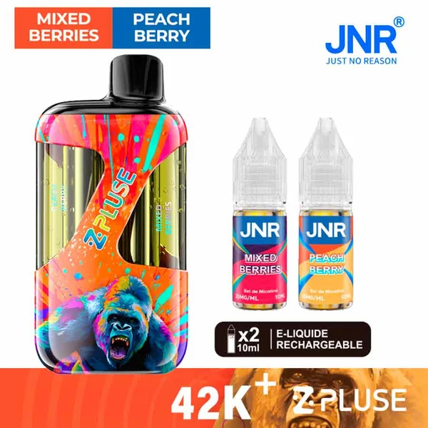 JNR Zpluse 42K | Mixed Berries & Peach Berry | Puff Rechargeable 2 en 1