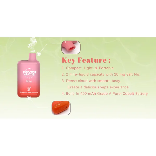 Kit VASY Mini 600 puff cigarette électronique jetable 20mg 10 pièces/paquet