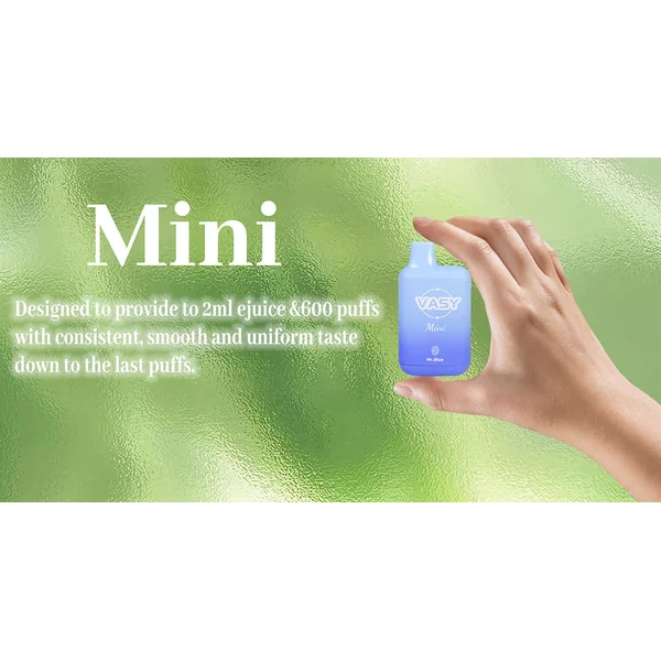 Kit VASY Mini 600 puff cigarette électronique jetable 20mg 10 pièces/paquet